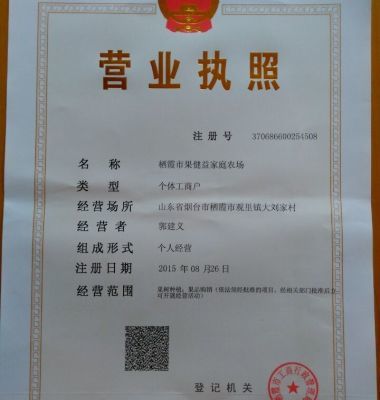 m9t337矮化自根砧蘋果苗優點圖片