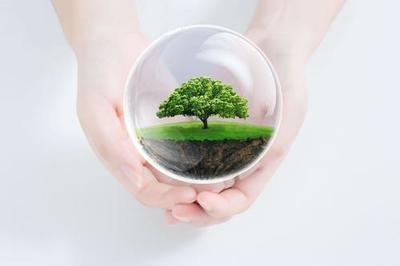 合格供應(yīng)商綜合實力評價認證證書-快速辦理 認監(jiān)委網(wǎng)站查詢