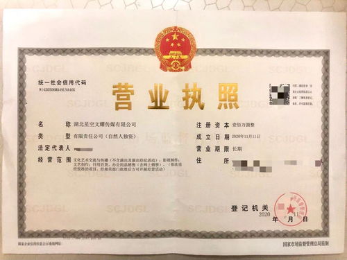 星空文耀 專業(yè)工商注冊實(shí)體工作室，高價(jià)收購飛盧太監(jiān)書及財(cái)務(wù)咨詢